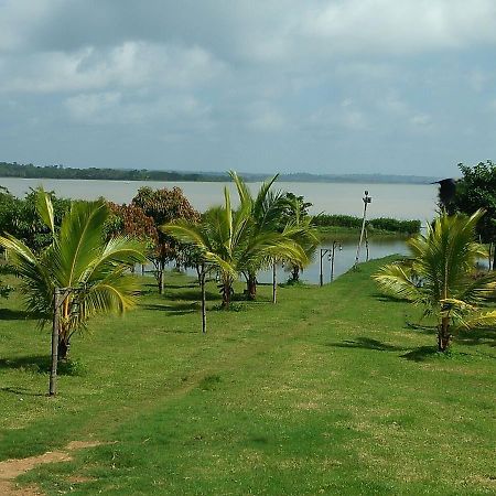 The Peepal Tree, Kabini Begūr Eksteriør bilde