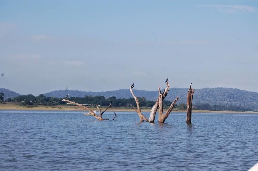 The Peepal Tree, Kabini Begūr Eksteriør bilde