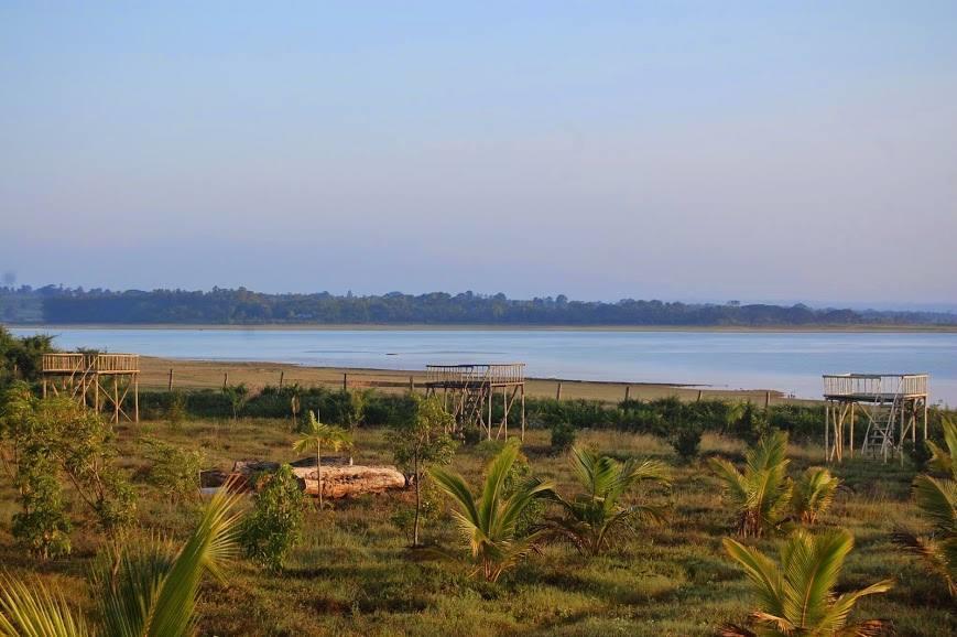 The Peepal Tree, Kabini Begūr Eksteriør bilde