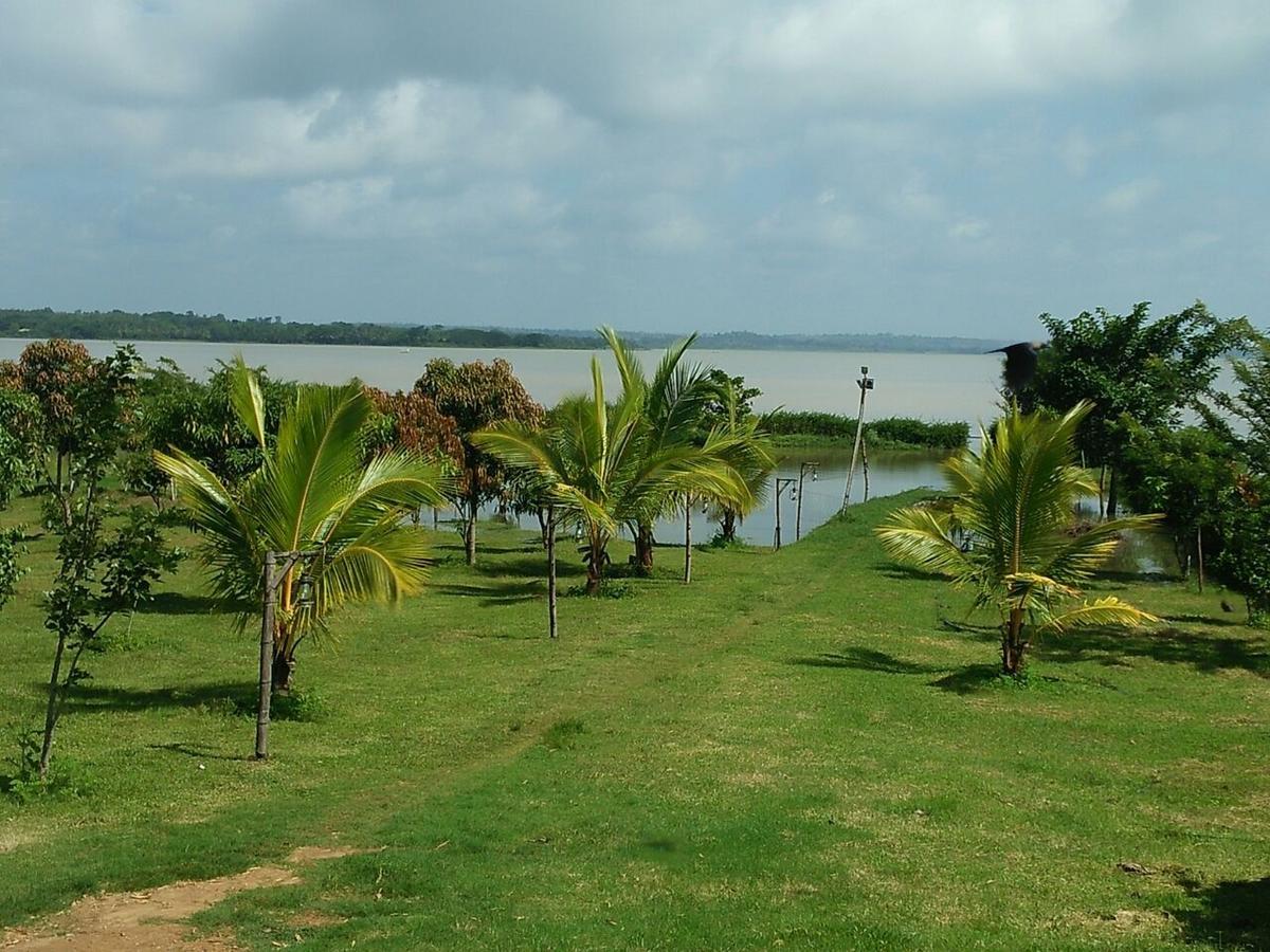 The Peepal Tree, Kabini Begūr Eksteriør bilde